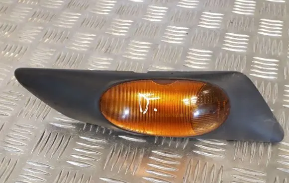 Iveco Daily 30.8 - 9 Front fender indicator light 500322577