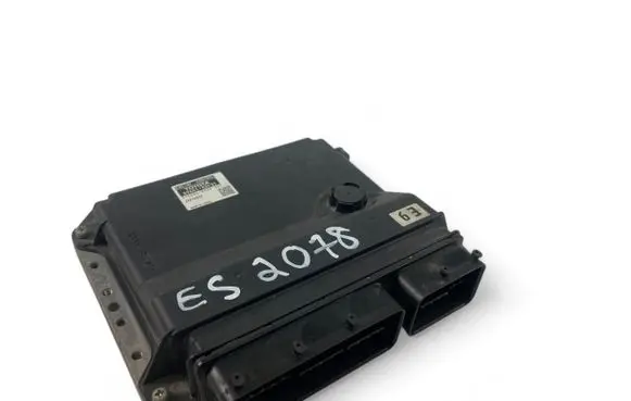 Engine control unit/module ECU