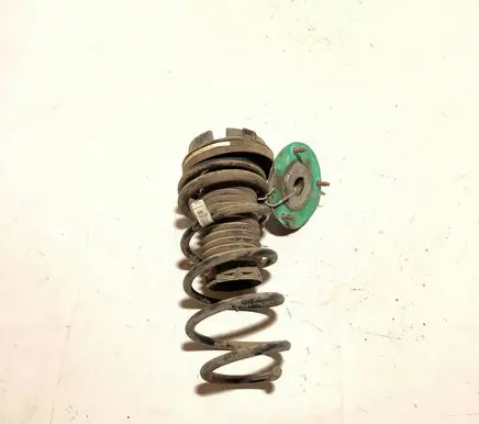 Rear coil spring
