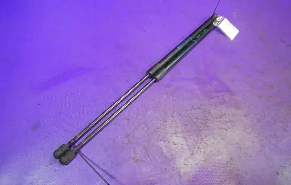 Tailgate strut