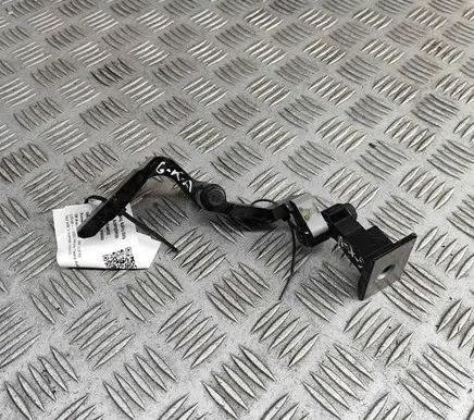 Rear door hinge set