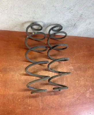 Rear coil spring