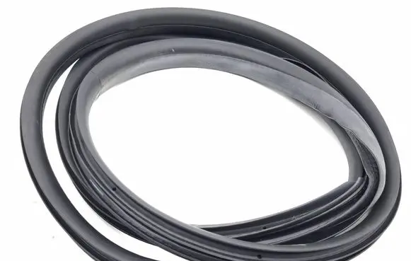 Renault Scenic E-Tech V Rear door rubber seal (on body)
