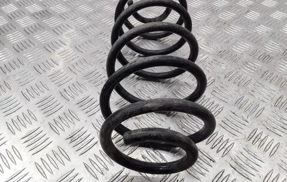 Rear coil spring