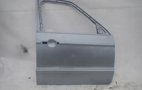 Ford S-MAX Front door