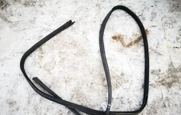 Dodge Magnum Rubber seal front coupe door 