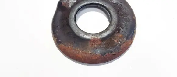 Coil spring mount