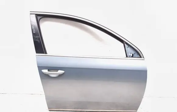 Volkswagen PASSAT B7 Front door