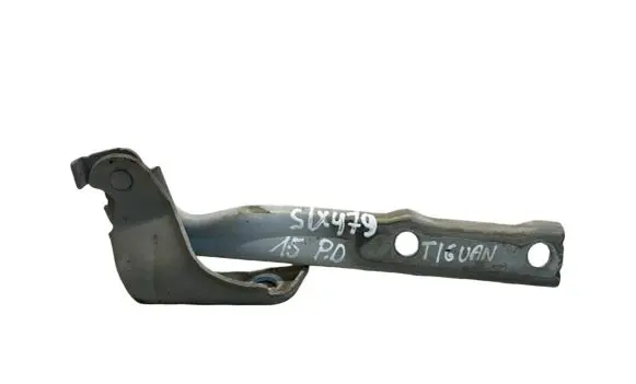 Volkswagen Tiguan Tailgate/trunk/boot hinge 5N0823302A