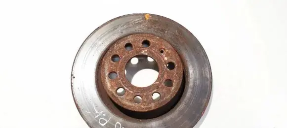 Volkswagen Golf V Front brake disc ventiliuojamas