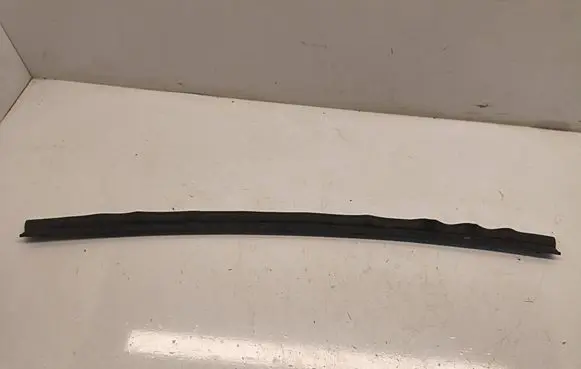 Dodge RAM Rubber seal front door window/glass 68291611AA