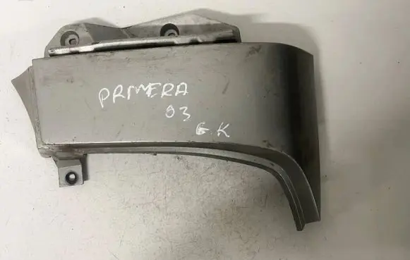 Rear/tail light trim molding