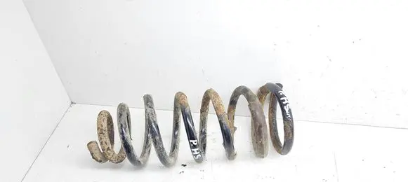 Hyundai Sonata Front coil spring 