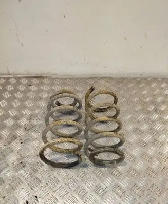 Hyundai Santa Fe Rear coil spring