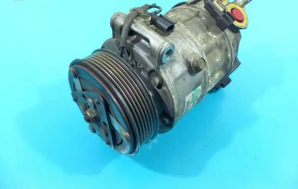 Land Rover Range Rover Sport L320 Air conditioning (A/C) compressor (pump) 121604100B4 IMPRK1189283