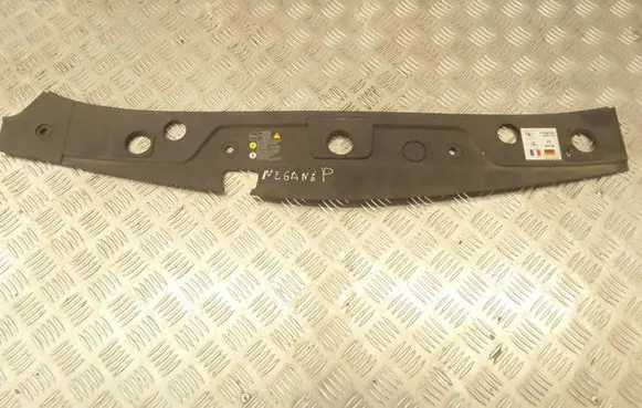 Radiator trim