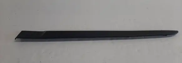 Renault Clio III Rear door trim (molding) 82002899230