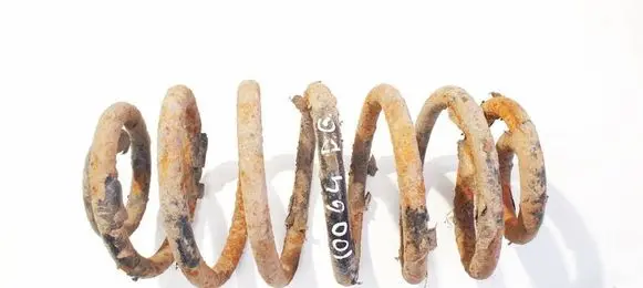 Rear coil spring