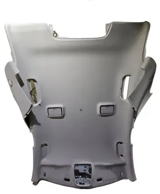Mercedes-Benz S W222 Headlining A2226900200 25211851C341 160017J5T