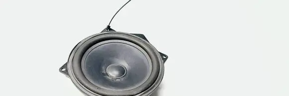 Volkswagen Phaeton Front door speaker 3D0035454B