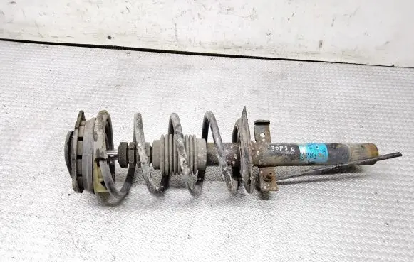 Renault Scenic II - Grand scenic II Front shock absorber with coil spring 131500313447