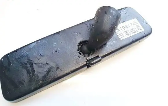 Volkswagen PASSAT B5 Rear view mirror (interior) e10110093