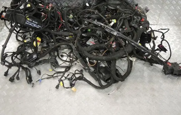 Porsche Cayenne (92A) Other wiring loom