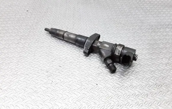 Renault Espace - Grand espace IV Fuel injector 0445110084