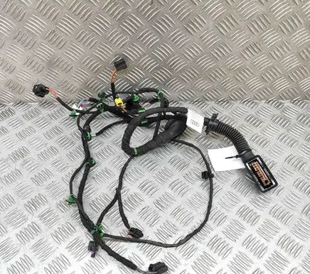 Audi E-tron GT Front door wiring loom 4J3971029F