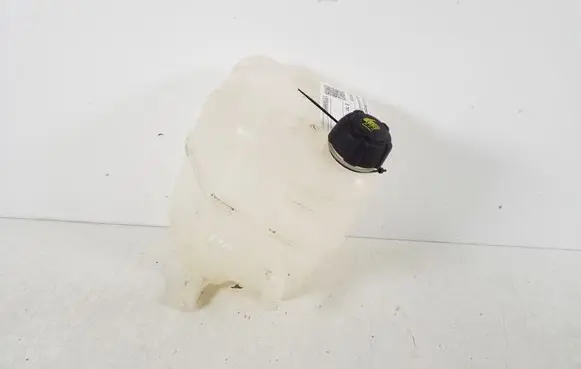 Renault Kangoo II Coolant expansion tank/reservoir 272687341R