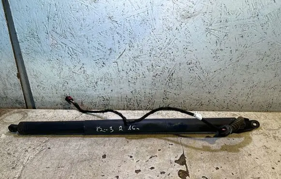 Tailgate/trunk strut/damper