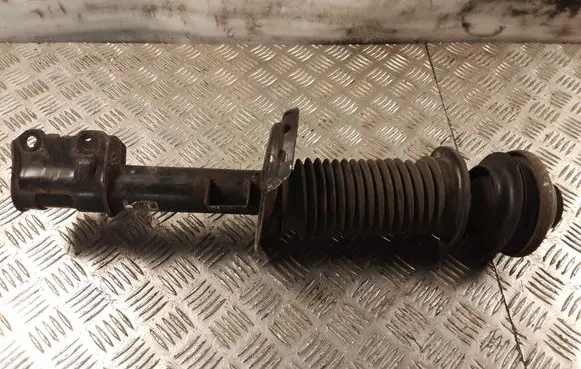 Opel Zafira B Front shock absorber/damper 22214012