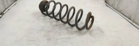 Rear coil spring