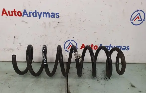 Rear coil spring