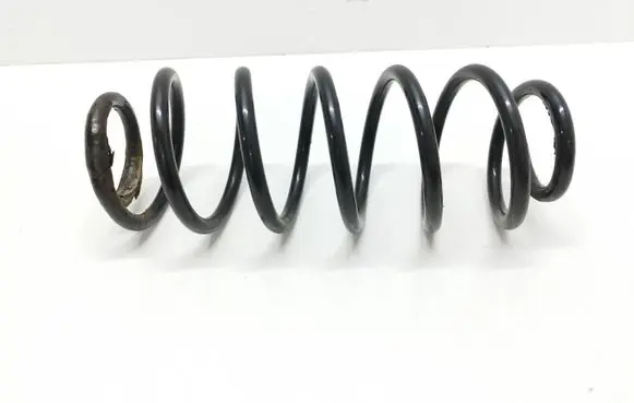 Rear coil spring