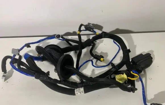 Hyundai Ioniq Front door wiring loom 91605G2150