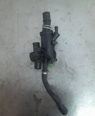 Thermostat/thermostat housing