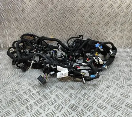 Ford Mustang Mach-E Other wiring loom NJ8T14401RAA