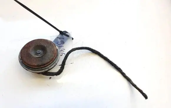Horn signal