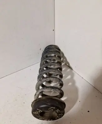 Rear coil spring