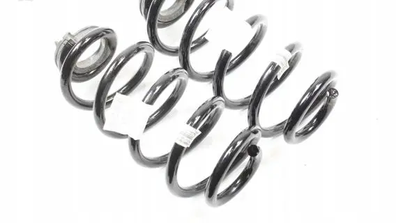 BMW X2 F39 Rear coil spring