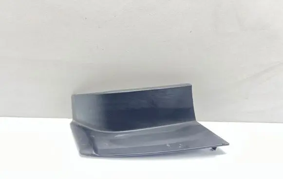 Rear/tail light trim molding