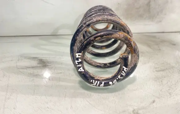 Volkswagen PASSAT B6 Rear coil spring