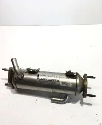 Chevrolet Captiva EGR valve cooler 96817829 C221929