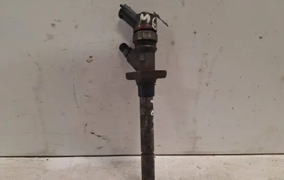 Peugeot 807 Fuel injector