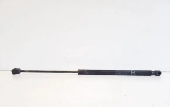 Front bonnet/hood damper/strut