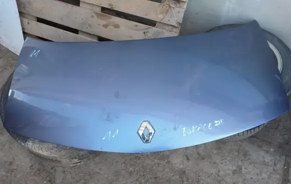 Engine bonnet/hood