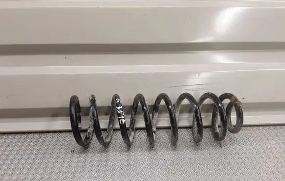 Rear coil spring