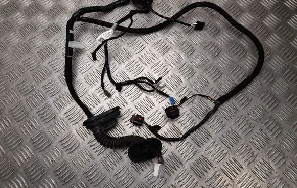 Tesla Model 3 Front door wiring loom 206796500B