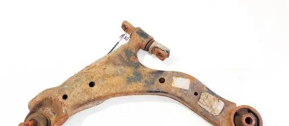 Front lower control arm/wishbone